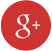 Google+